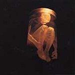 ALICE IN CHAINS - Nothing safe