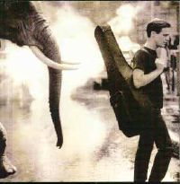 ADAMS BRYAN - On a day like today