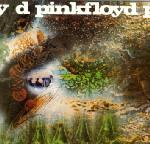 PINK FLOYD - A sourcerful of secrets