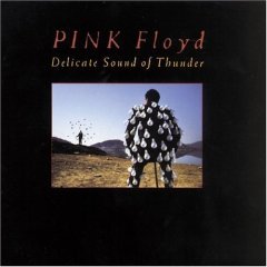 PINK FLOYD - Delicate sound of thunder