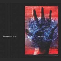 PORCUPINE TREE - Warszawa - live