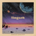 TINGSEK - Lights out association