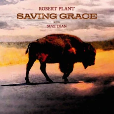 ROBERT PLANT - Dabing grace