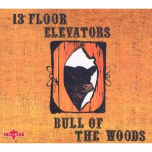 13TH FLOOR ELEVATORS - Bull of the woods