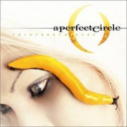 A PERFECT CIRCLE - Thirteen step