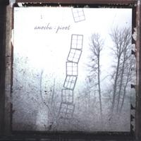 AMOEBA - Pivot