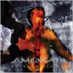 AMORAL - Wound creations