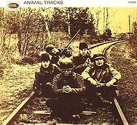 ANIMALS - Animal tracks