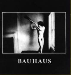BAUHAUS - In the flat field