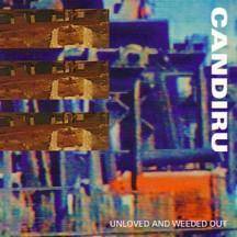 CANDIRU - Unloved and weeded out