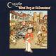 CARAVAN - Blind dog at St.Dunstans
