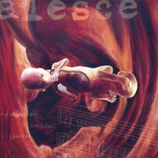 COALESCE - 0-12 revolution in just liste