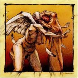 CONVERGE/AGORAPHOBIC - Poacher diaries