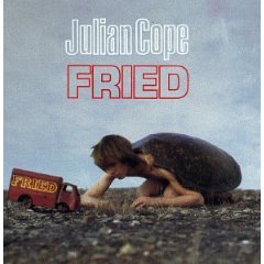 COPE JULIAN - Fried
