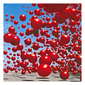 CRANBERRIES - Wake up and smell the coff