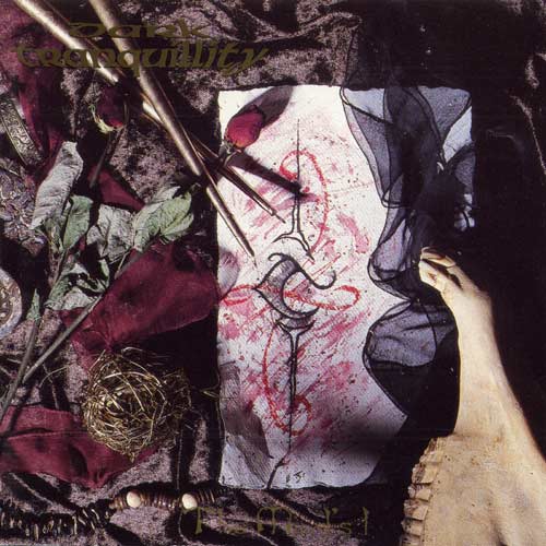 DARK TRANQUILLITY - The mind is I