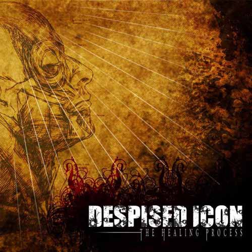 DESPISED ICON - Healing process