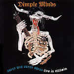 DIMPLE MINDS - Durch und durch - live
