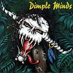 DIMPLE MINDS - Maximum debilum