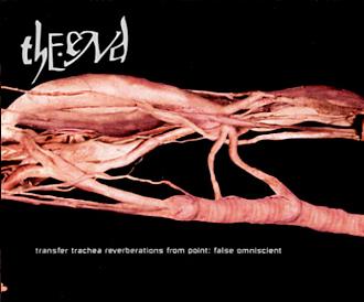 END - Transfer trachea reverberations