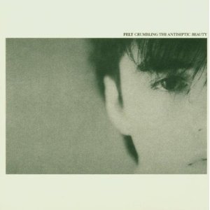 FELT - Crumbling antiseptic beauty