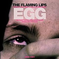 FLAMING LIPS - Day they shot a hole in t