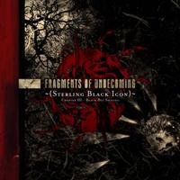 FRAGMENTS OF UNBECOMING - Sterling black