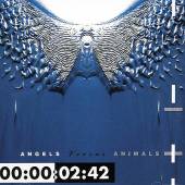 FRONT 242 - Angels vs. animals