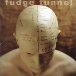 FUDGE TUNNEL - The complicated futility 