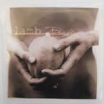 LAMB - Between darkness and wonder