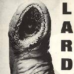LARD - The power of lard
