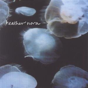NOVA HEATHER - Glow stars