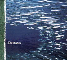 OCEAN - Fluxion
