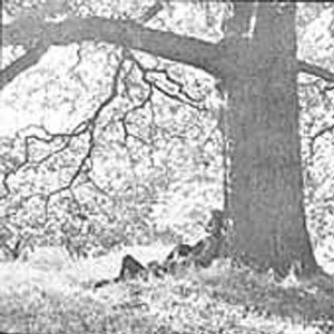 ONO YOKO - Plastic Ono band