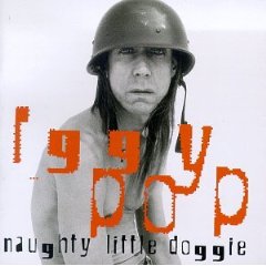 POP IGGY - Naughty little doggie