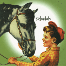 SEBADOH - Beauty of the ride