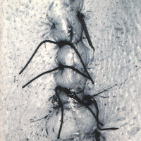 SCHEER - Infliction