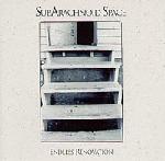 SUBARACHNOID SPACE - Endless renovation