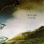 SUBARACHNOID SPACE - These things take t