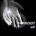 TAPROOT - Gift