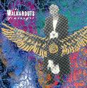 WALKABOUTS - Scavenger