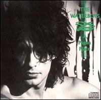 WATERBOYS - A pagan place