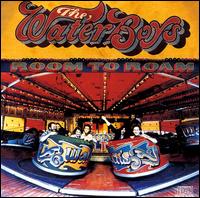 WATERBOYS - Room to roam