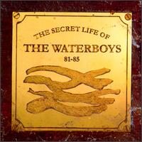 WATERBOYS - Secret life 81-85