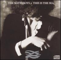 WATERBOYS - This is the sea