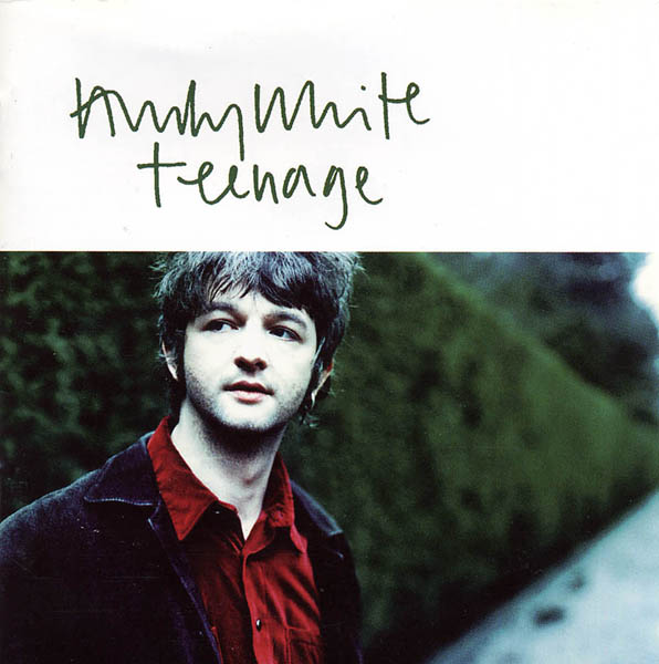 WHITE ANDY - Teenage