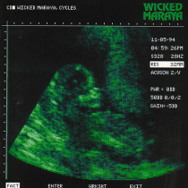 WICKED MARAYA - Cycles
