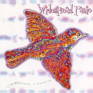 WIDESPREAD PANIC - Til the medicine take