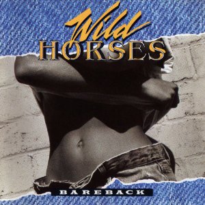 WILD HORSES/USA/ - Bareback