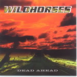 WILD HORSES/USA/ - Dead ahead